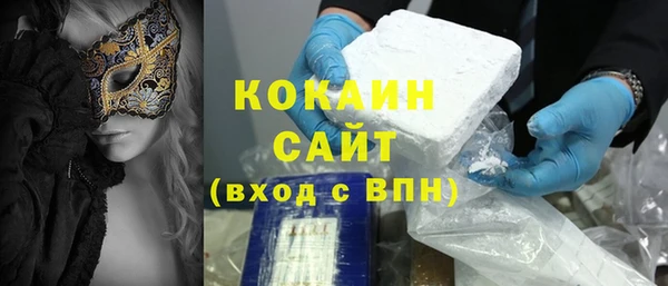 прущие грибы Аркадак