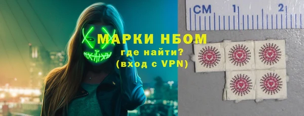 прущие грибы Аркадак