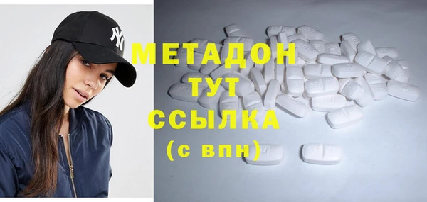 прущие грибы Аркадак