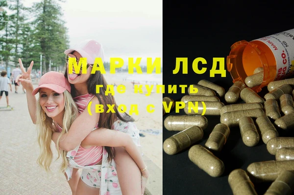 ПСИЛОЦИБИНОВЫЕ ГРИБЫ Алзамай
