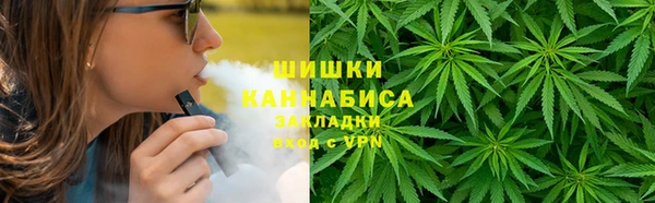 прущие грибы Аркадак